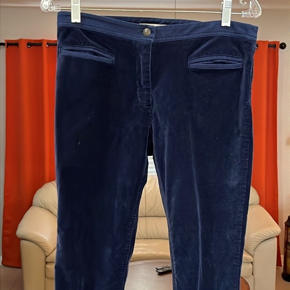 Anthropologie Leifsdottir Ankle Blue Velvet Plush Slims Pants Size 4 - Picture 4 of 8